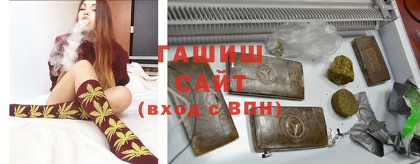 индика Дмитриев
