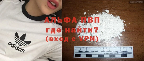 индика Дмитриев