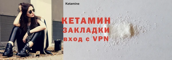 индика Дмитриев