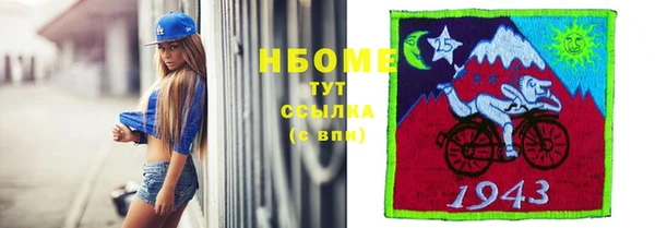индика Дмитриев