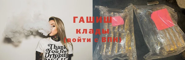 индика Дмитриев