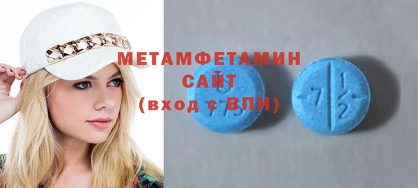 индика Дмитриев