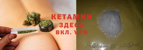 индика Дмитриев