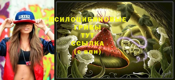 индика Дмитриев