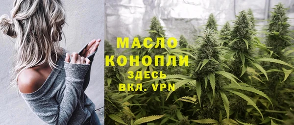 индика Дмитриев