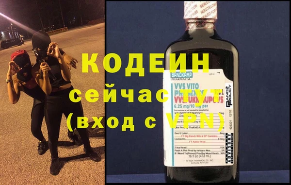 индика Дмитриев