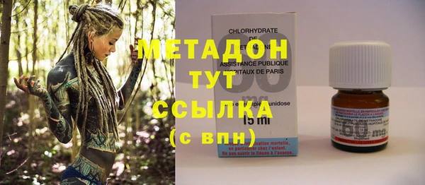 индика Дмитриев