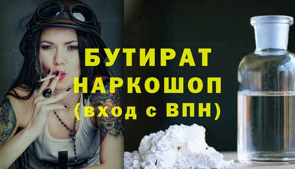 индика Дмитриев
