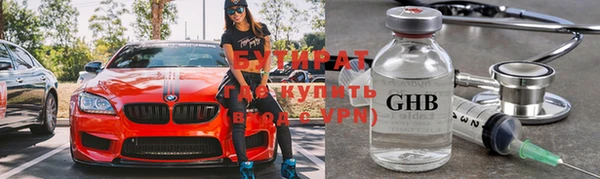 индика Дмитриев
