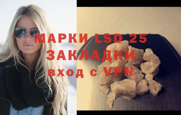 индика Дмитриев