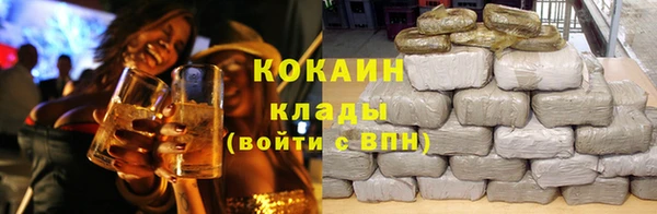 индика Дмитриев