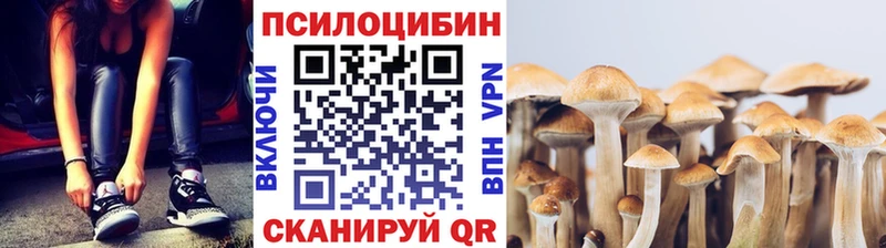 Псилоцибиновые грибы Psilocybine cubensis  мега зеркало  Юхнов  что такое наркотик 